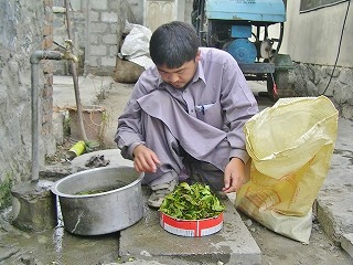 製茶の準備をする伊藤さん